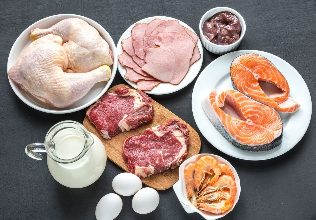 Protein-Diät zur Gewichtsabnahme